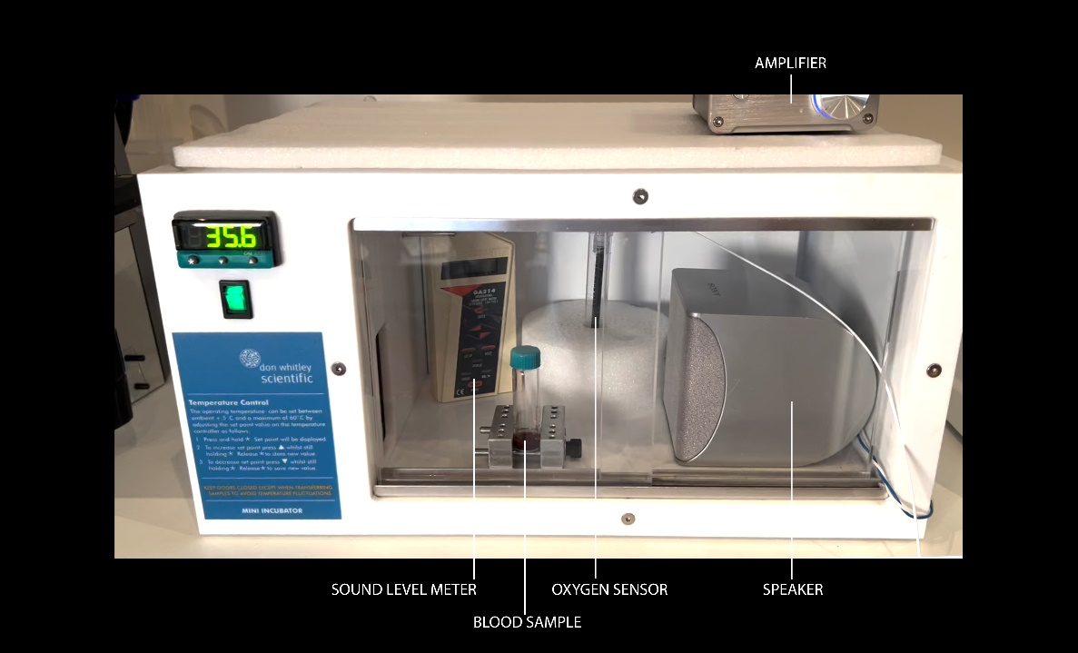 Incubator apparatus for 37 °C experiments
